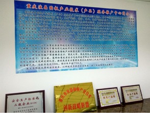 重慶液晶面板產(chǎn)業(yè)技術(shù)推廣中心成立，助力技術(shù)與產(chǎn)品服務(wù)升級